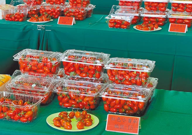 路竹区农会24日举办番茄评鑑活动，图为番茄。（林瑞益摄）