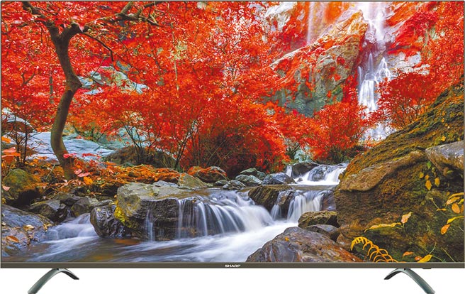 家乐福SHARP UHD液晶显示器4T-C50CJ1T＋HDMI×3组，原价2万1900元、特价1万8900元，8.6折。（家乐福提供）