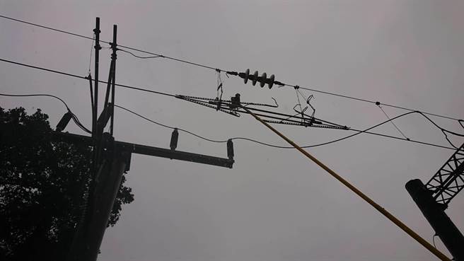 台鐵人員發現掛在台鐵電車線上的鳥屍，隨即予以排除。（台鐵提供／胡健森宜蘭傳真）