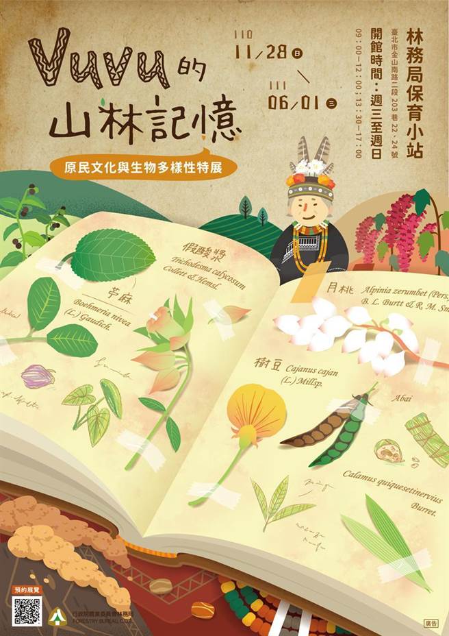 一束小米，探索台湾原民文化与生物多样性的亲密关系。图／林务局提供