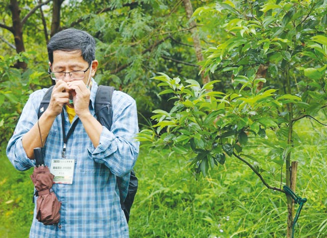 刘克襄老师在青年培育与交流活动课程上，实际带领民眾走读暖暖，并示范以味道区别植物种类。图／主办单位提供