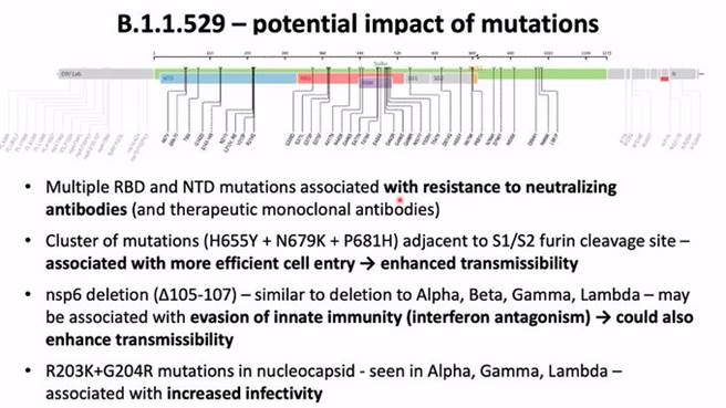 而B.1.1.529在新冠毒棘蛋白上面有32個突變，有些突變還不完全清楚其作用，但這些突變都會與傳播能力及免疫逃逸能力有關。（圖／推特@miamalan）