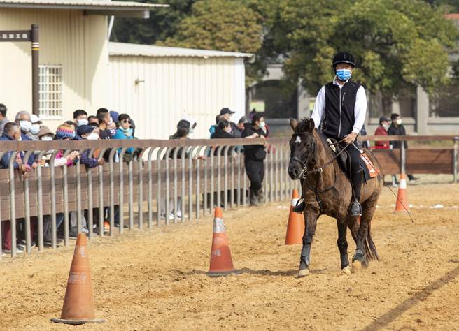 在連續漫步動作、連續快步動作、連續快跑動作及混合障礙賽等4大項目中，帶著配合的馬匹展現「人馬合一」的默契和身手。（金門縣畜試所提供）