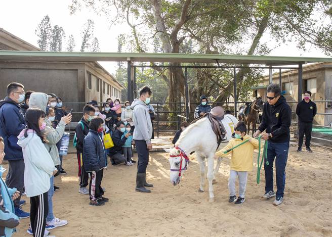 縣畜試所長陳家輝（右）親自帶領學童牽馬，現場解說馬匹的飼養和騎乘要領。（金門縣畜試所提供）