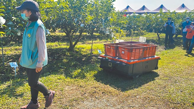 高雄农业改良场与郡野公司合作研发的「电动智能跟随农地搬运机」，可负重300公斤又有自动跟随功能，不仅减轻农民负担，也能有效解决缺工问题。（谢佳潾摄）