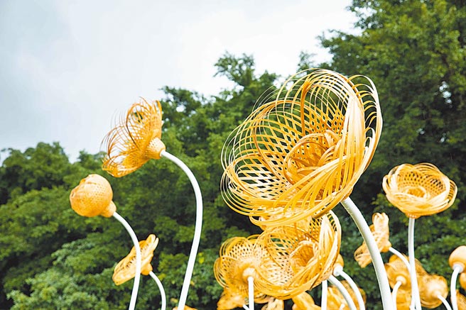 宜蘭藝術家林靖格結合竹編工藝創作「垂首道謝」，以180組的竹編謝籃，向防疫英雄傳達「以不謝之花，敬謝不懈的你」。（石智中攝）