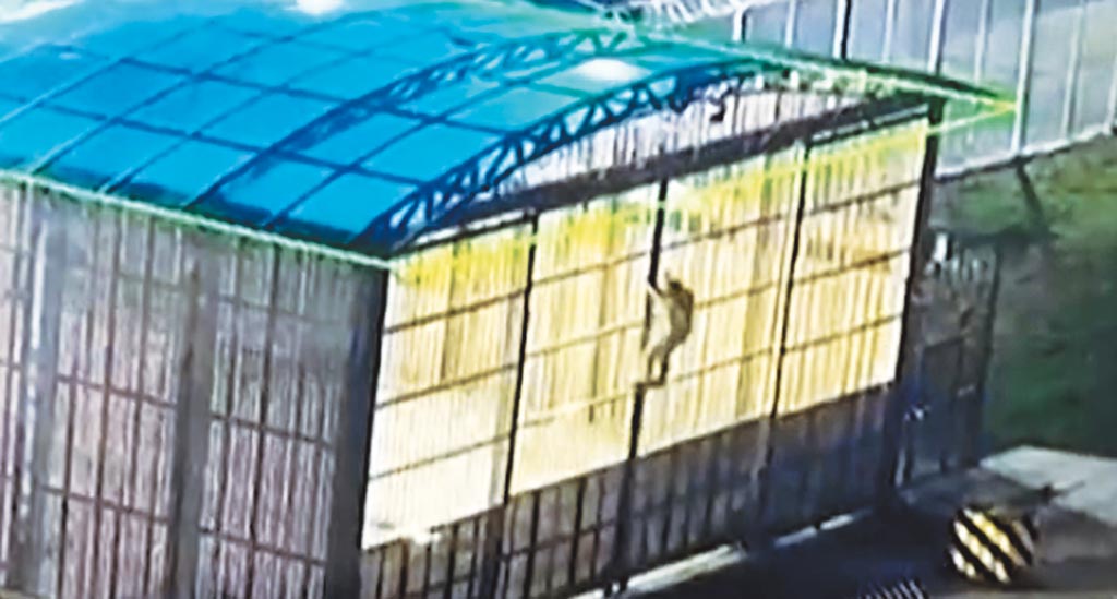 網路上出現疑似北韓囚犯朱賢健在吉林監獄逃獄的畫面，影片中男子爬上雨棚、破壞監獄電網、跳下6公尺高的圍牆逃獄。（摘自網路）