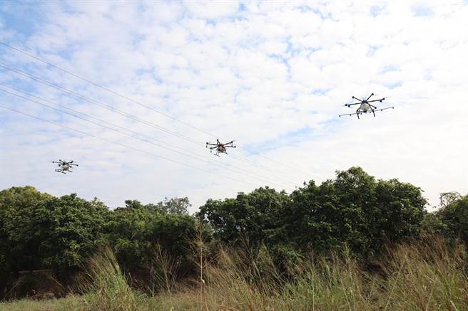 中兴大学植物教学医院院长庄益源副教授表示，荔枝春香越冬醒来时会往新梢方向去，空拍机从树由上而下喷，使椿象接触到药剂的比例增加，大大增加椿象防治的成效。(吴建辉摄)
