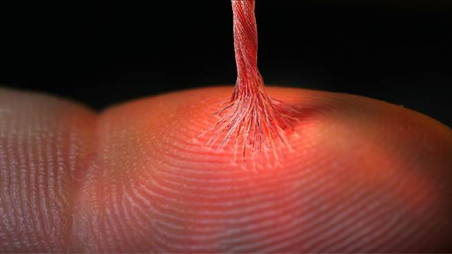 片中红线的设计概念图。（传影提供）