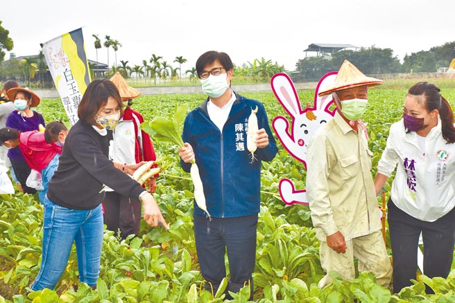 高雄市长陈其迈（右三）28日到美浓区体验拔白玉萝卜。（林瑞益摄）