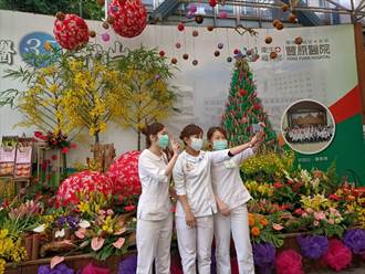 百合花卉形象展豐原醫院登場 百合打造大型耶誕樹超吸睛