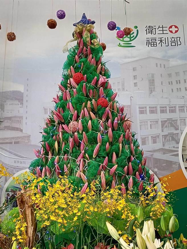 由200支百合打造而成的耶诞树这两天将盛开。（陈淑娥摄）