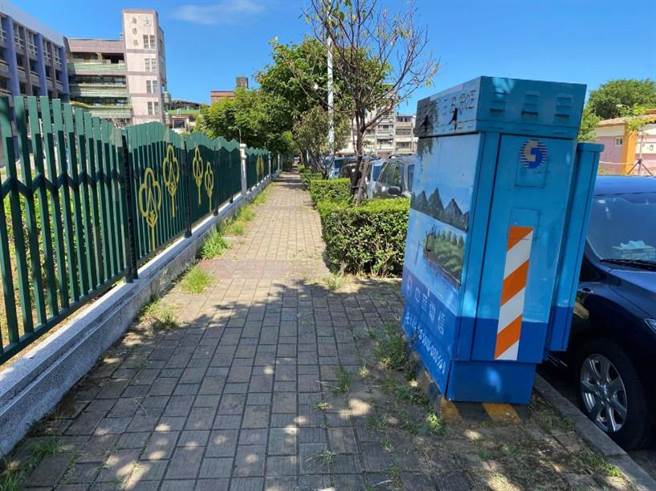 树根部隆起、窜根，占据人行道造成人行道铺面破损、不平整。（金山区公所提供）