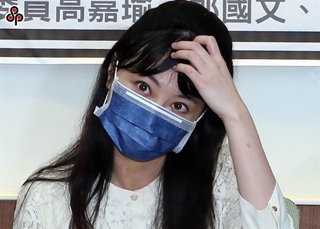 立委高嘉瑜近期传出遭伴侣施暴，更传出因为加害人因掌有「私密影像」，加害人持之以威胁、控制被害人对外求助的可能性。（报系资料照）