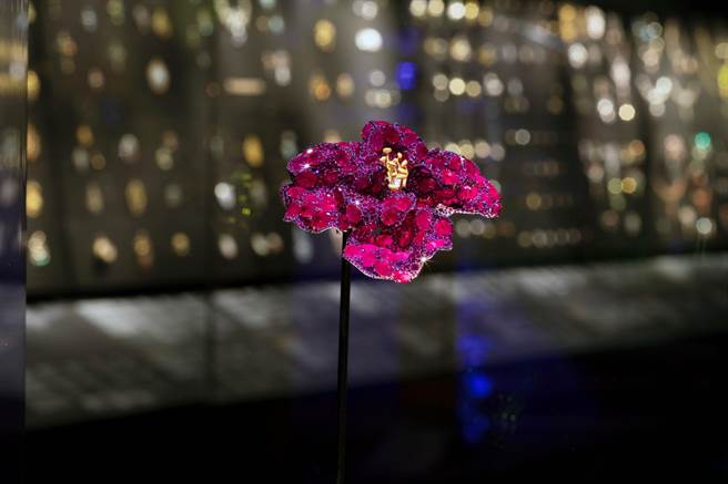 今年五月赵心绮的《红宝石牡丹》胸针获得英国伦敦V&amp;A博物馆纳为永久馆藏，与维多利亚女王大婚时佩戴的皇冠併列。（伦敦V&amp;A博物馆提供）