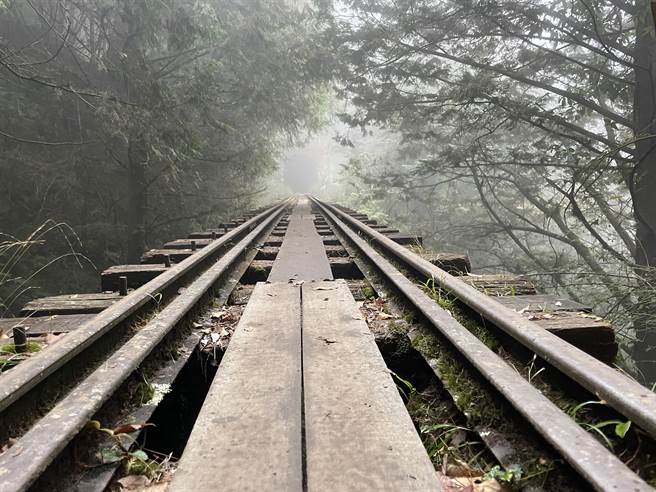 阿里山乡眠月线景色优美吸引许多人前往，但近期意外频传，救难人员疲于奔命。（张亦惠摄）