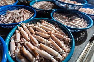 開卷書摘》新竹在地人限定的美食 南寮漁港脆小管