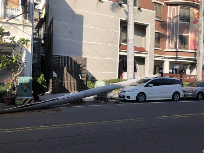 彰化市民生路1棵20公尺的大王椰子樹，上午八點多，「砰」得一聲轟然從被連根拔起倒地，一根超級大棍棒，直接打在停在路旁轎車的車頂上。（民眾提供／吳敏菁彰化傳真）