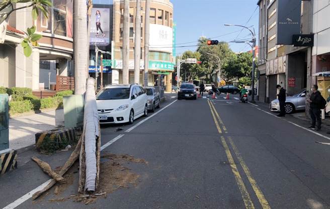 彰化市民生路1棵20公尺的大王椰子樹，上午八點多，「砰」得一聲轟然從被連根拔起倒地，一根超級大棍棒，直接打在停在路旁轎車的車頂上。（民眾提供／吳敏菁彰化傳真）