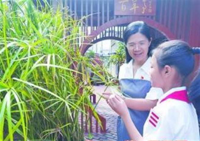 青礁小学学生都要认识中草药，学习分辨各种药草属性。（取自厦门网）