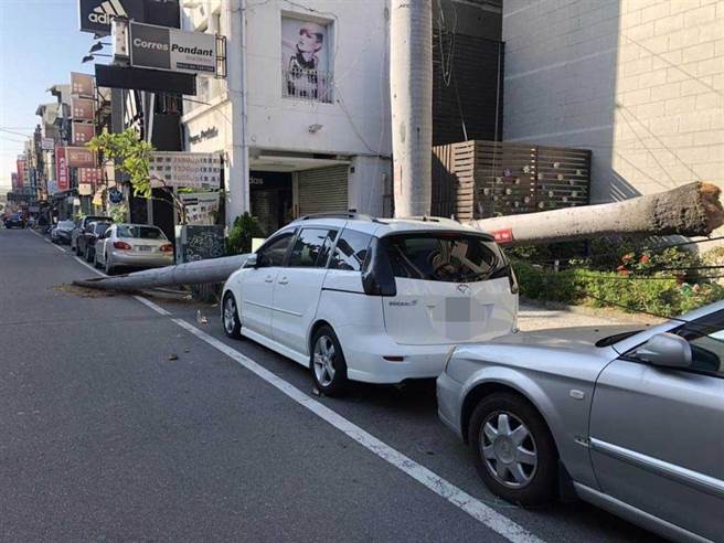 彰化市民生路1棵20公尺的大王椰子樹，上午八點多，「砰」得一聲轟然從被連根拔起倒地，一根超級大棍棒，直接打在停在路旁轎車的車頂上。（民眾提供／吳敏菁彰化傳真）