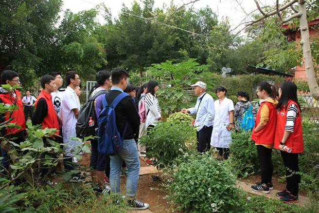 慈济东宫的中草药园区，是当地学生的户外教学重点。（取自厦门网）