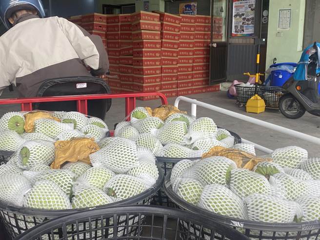 12月是台东凤梨释迦产季，鹿野大原地区的释迦集货场不见往年热闹景象。（蔡旻妤摄）