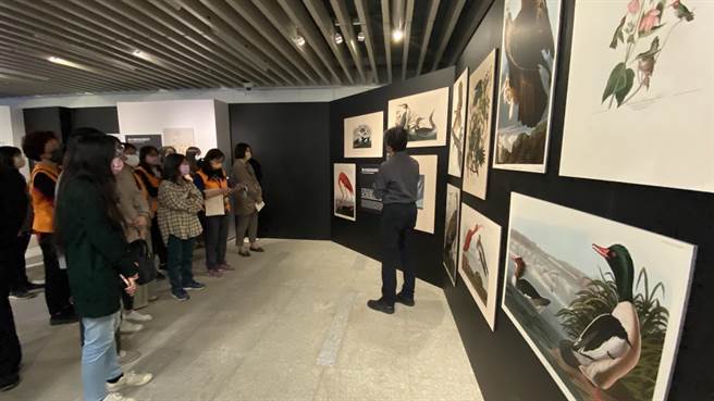 「绘自然－博物画里的台湾」特展，展出博物学家和自然观察者以科学插画所记录的台湾生态之美。（陈淑芬摄）