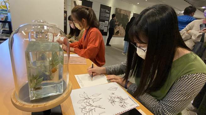 国资图推出「绘自然－博物画里的台湾」特展，现场规划有植物标本及画册，提供民眾现场绘制。（陈淑芬摄）