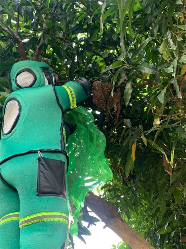 雲林縣捕蜂捉蛇服務12月1日起全天不打烊。 （雲林縣政府提供）