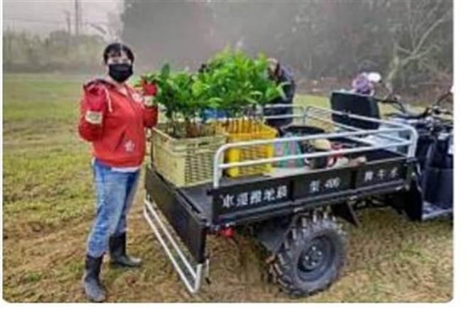 台南市楠西区农会果树产销班50班班员岳珊娜从柬埔寨嫁来台湾已经16年。（岳珊娜提供／刘秀芬台南传真）