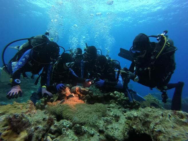 台东县环保局结合台东县自然与人文学会推动绿岛环教（台东县府提供／蔡旻妤台东传真）