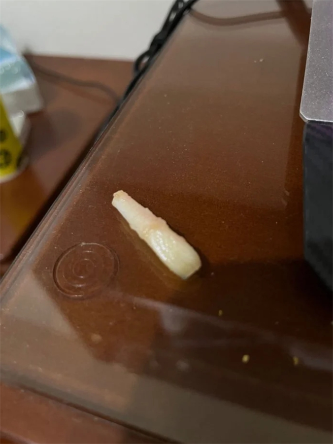 原PO后来把骨头拿去洗，硬把肉拔开，才让他恐惧感消失。(图/截自Dcard)