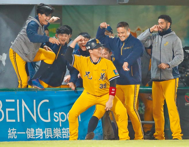 詹子贤（前）回本垒得分，队友用「阿强（张志强）的秃头」动作庆祝。（中央社）