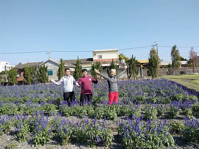 田尾鄉農會首度舉辦「花現美好田尾＆植物產地市集」，理事長楊春枝(右起)、「董家花田」青農董韋志，與總幹事吳政憲，歡迎各地愛好賞花、玩植栽的民眾來遊園、賞花，拍美照。（農會提供／謝瓊雲彰化傳真）