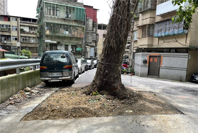 北市文化局於今年6月15日邀集本市樹木保護委員至現場會勘，確認該樹木感染褐根病並請新工處後續依防治作業規定處理。（文化局提供／楊亞璇台北傳真）