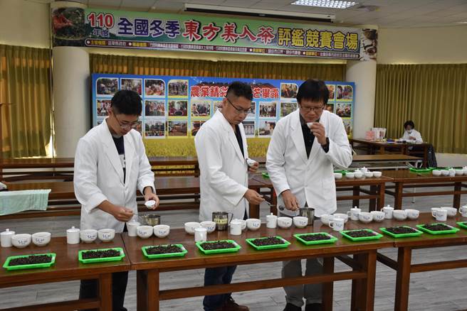 頭份市農會今年冬季全國東方美人茶比賽，3日進行決選，由茶改場茶博士林金池領軍評選。（謝明俊攝）