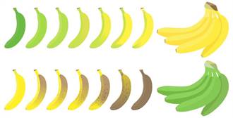 今日最健康》哪種香蕉甜又營養？控糖減重或解便秘 吃錯反效果