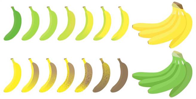 哪種香蕉最甜又營養？想控糖、減重、解便秘的人，要挑的香蕉竟然大不同。（示意圖／Shutterstock)