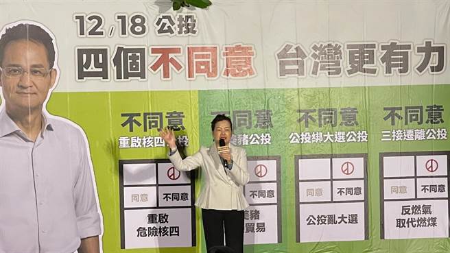 經濟部長王美花強調，4個公投案3個和經濟部有關，台商回台投資踴躍，北部需要三接來穩定台灣的用電。（盧金足攝）
