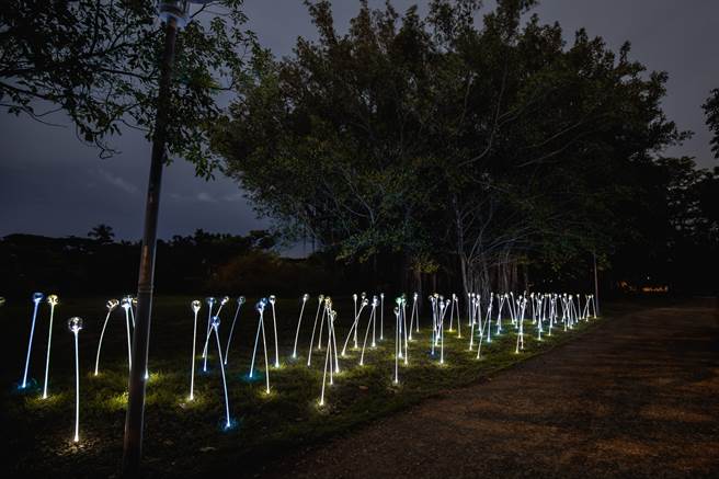 台湾灯会睽违20年将回归高雄，新作品再度曝光，高市府团队融入森林特色元素，仿真蕈菇、微光花丛藏身在森林中，如电影场景般美丽。（高市观光局提供）