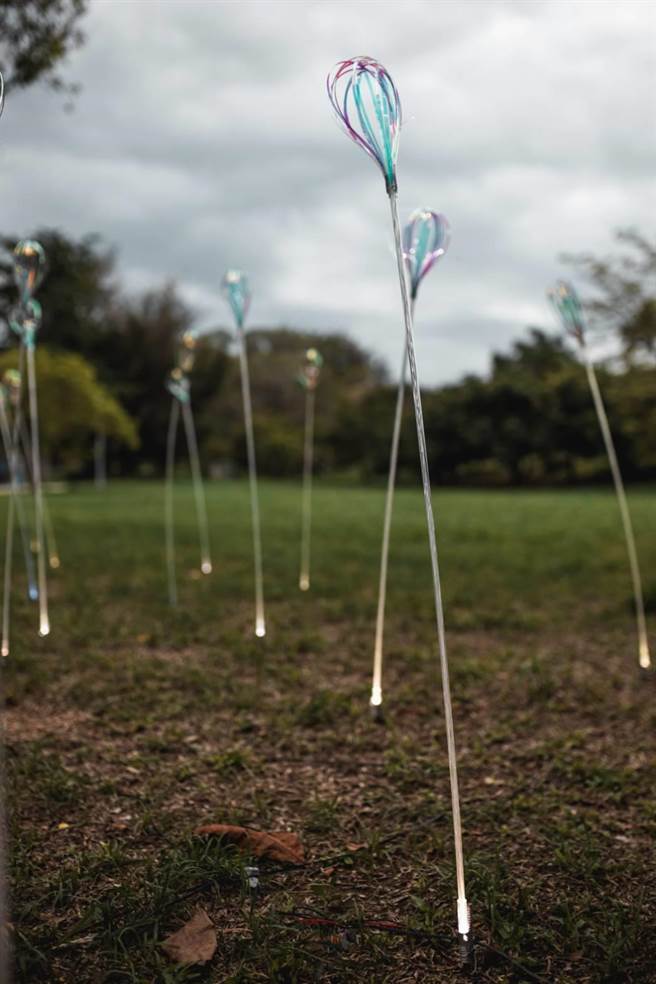 台湾灯会睽违20年将回归高雄，新作品再度曝光，高市府团队融入森林特色元素，仿真蕈菇、微光花丛藏身在森林中，如电影场景般美丽。（高市观光局提供）