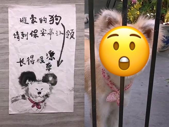 1名捡到狗的网友用毛笔描绘狗的外观后，再公告写下「谁家的狗，请到保安亭认领」，还提到狗「长得很潦草」。（翻摄自脸书「爆废公社」）