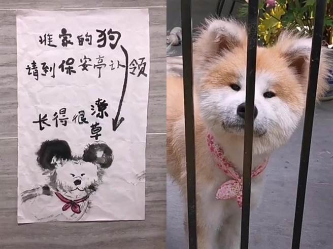 1名捡到狗的网友用毛笔描绘狗的外观后，再公告写下「谁家的狗，请到保安亭认领」，还提到狗「长得很潦草」，其他网友却说「画得超像」。（翻摄自脸书「爆废公社」）