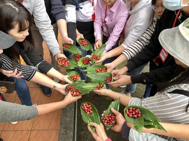 参山处推南江咖啡轻旅行。（参山处提供／谢明俊苗栗传真）