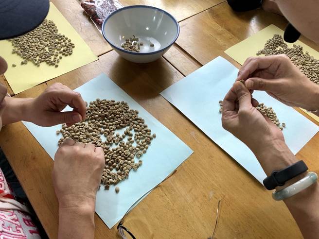 参山处推南江咖啡轻旅行。（参山处提供／谢明俊苗栗传真）