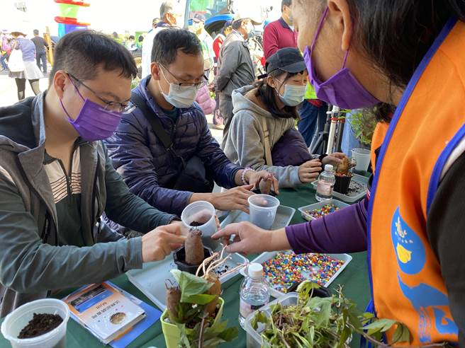 新化瓜瓜园观光工厂今天举办嘉年华会，民眾体验种地瓜盆栽。(曹婷婷摄)