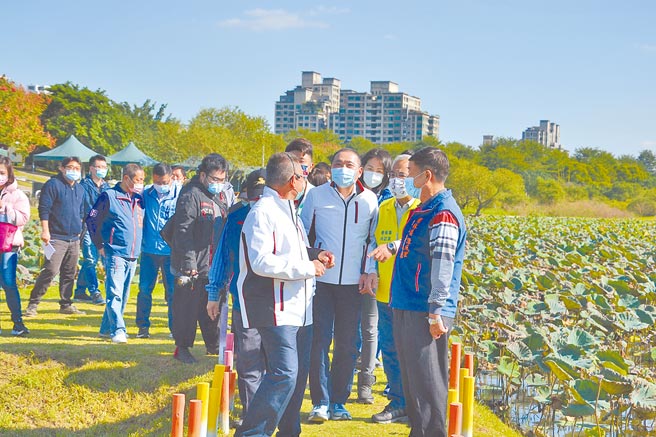 新北市府将树林河滨公园脏乱恶臭的山佳荷花池重整，打造多处赏荷步道、打卡点。（蔡雯如摄）