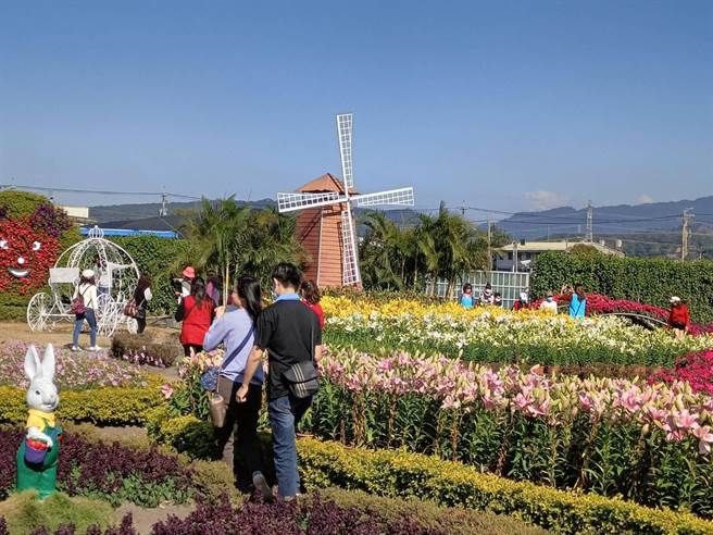 目前疫情趋缓，许多游客都出笼赏花，中社花市假日单日游客约2500人次，回到疫情前荣景。（陈淑娥摄）