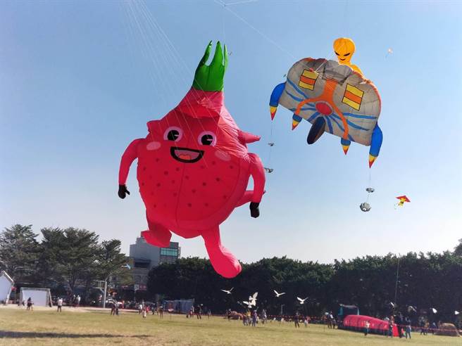 二林风筝节「二林和你一起放风吹」活动今天在二林儒林公园登场，二林镇长蔡诗杰与到场来宾合力，将超大的二林特产Q版火龙果软体风筝放飞升空。（谢琼云摄）